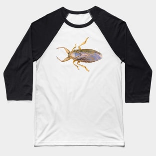 Giant Water Bug Baseball T-Shirt